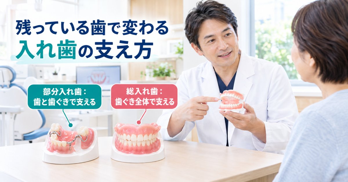 総入れ歯と部分入れ歯の違いを残存歯の状態や固定する仕組みから解説